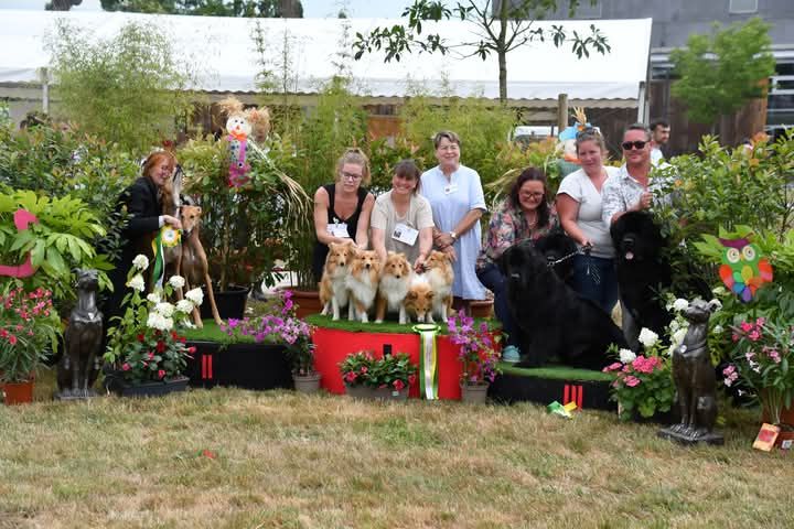 Des petites fées des sables - Meilleur Lot d'Affixe de l'exposition de Chateaubriand