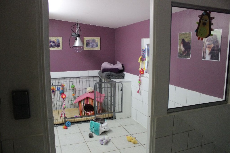 Logement